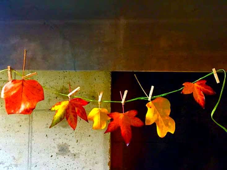 Herbstschmuck