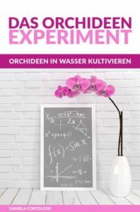 Buchcover Das Orchideenexperiment